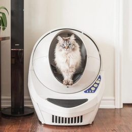 Litter Robot III - die Toilette riecht unangenehm