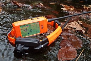 Video: Dogtrace DOG GPS X30 - Zgardă GPS profesională pentru câini