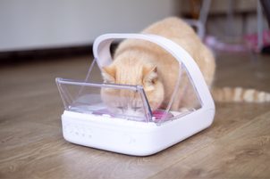 SureFlap & SureFeed - automatické dávkovače a dvířka pro psy a kočky