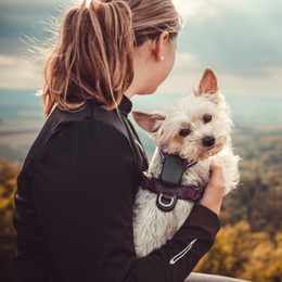 Dogtrace GPS Mini: Das „Must-have“-Gadget des Jahres