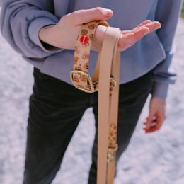 BioThane výbava: Proč je tento materiál hitem mezi pejskaři?