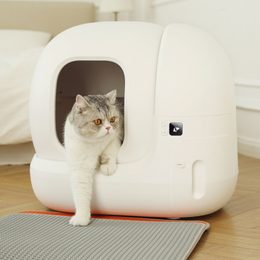 Petkit Pura Max: die smarte Katzentoilette mit Selbstreinigungsfunktion