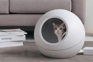 Petkit Cozy: nejpohodlnější inteligentní pelíšek pro kočky s automatickou termoregulací