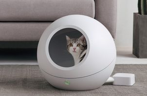 Petkit Cozy: najpohodlnejší inteligentný pelech s automatickou termoreguláciou