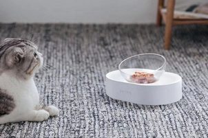 Nejlepší funkční pelíšek pro kočky nebo anatomická miska? To jsou zbrusu nové technologie Petkit