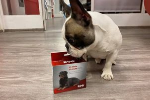 Dogtrace D-Mute Light - nejlepší protištěkací obojek pro velké psy