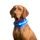 Collar luminoso Reedog Colour para perros pequeños, medianos y grandes