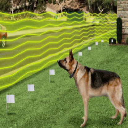 Setting up an electronic fence for dogs