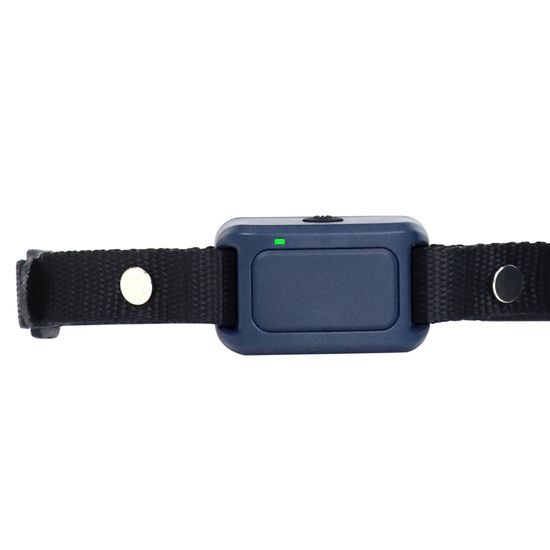 Collar y receptor Patpet 681