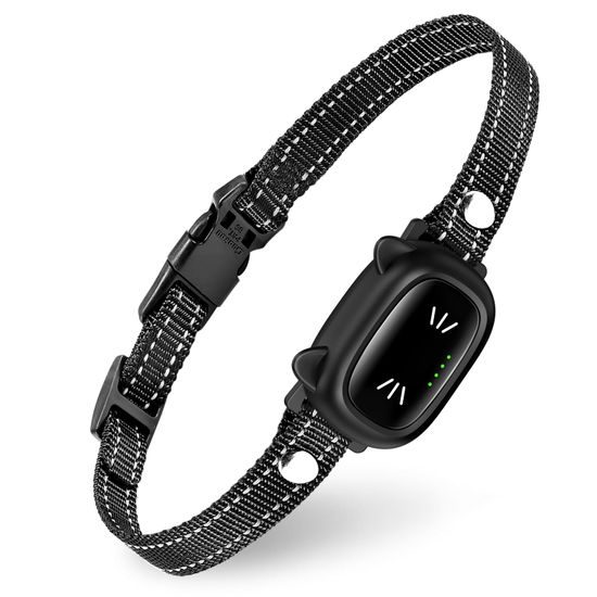 Reedog CP1 Trainingshalsband für Katzen