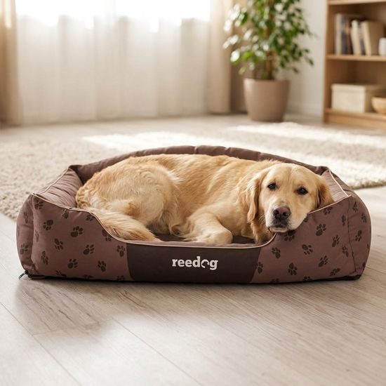 Reedog Pelíšek Brown King