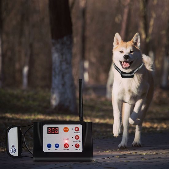Patpet F300 fence and training collar