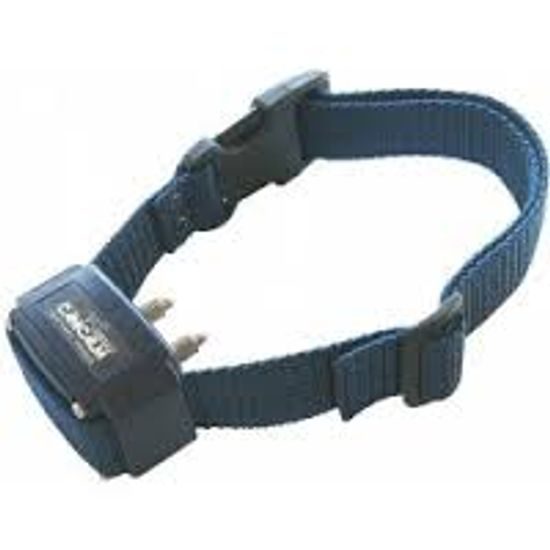 Canicalm Premium - Anti-barking collars - Reedog.eu