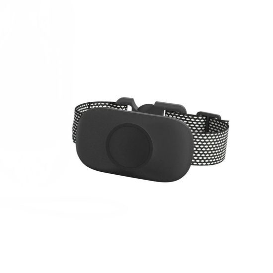 Reedog Halsband und Empfänger TC-021- Schwarz