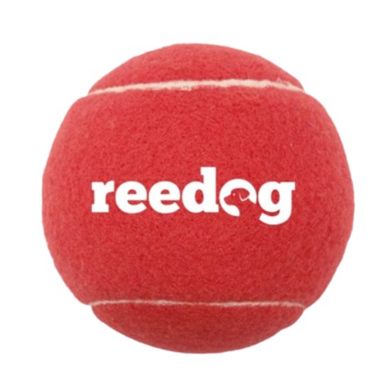 Pelota de tenis para perro Reedog - XS