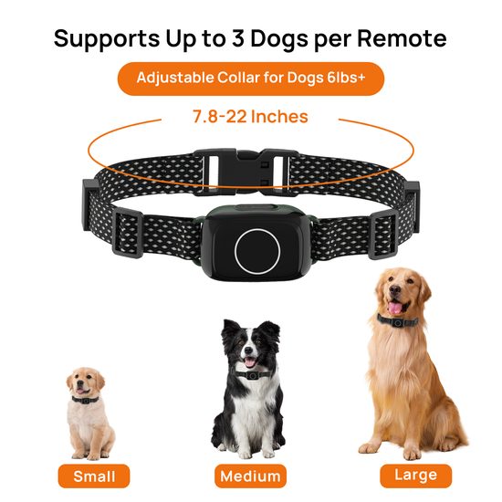 Patpet T800 Pro