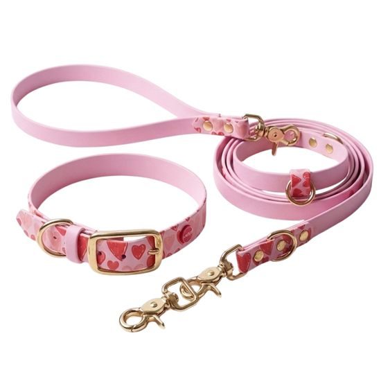 Reedog BioThane Heart Walking Set COLLAR + LEAD