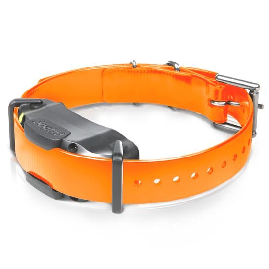 Dogtra ARC 1202S pro 2 psy