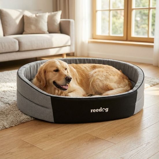 Reedog Pelíšek Pianki Ash Ekolen