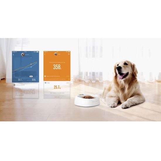 Petkit Fresh Smart Napf für Hunde und Katzen