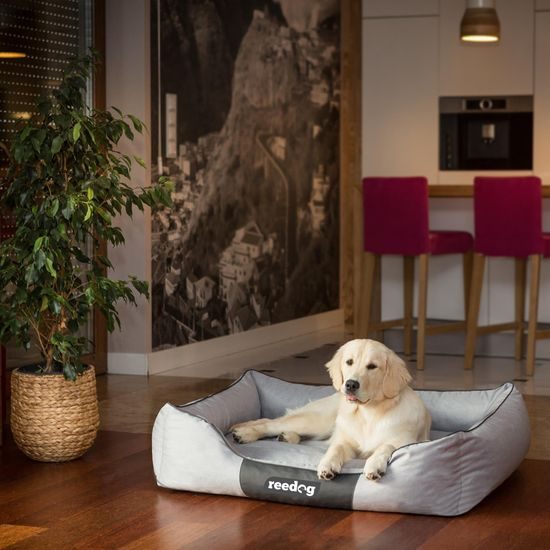 Hundebett Reedog Comfort Gray