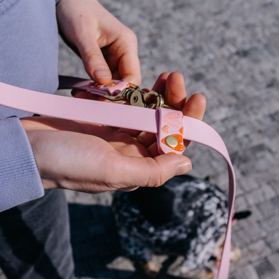 Correa multiposición Reedog corazones rosa BioThane 3 m