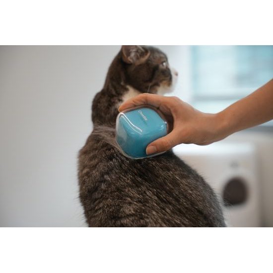 Massage brush for cats Cheerble