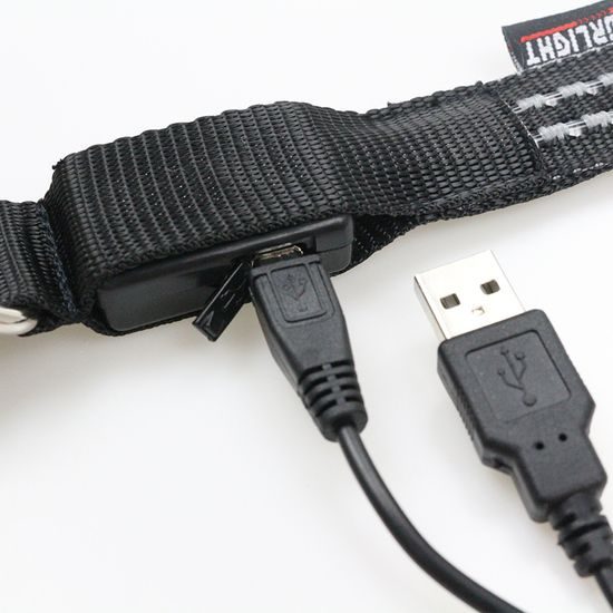 Svietivý USB svietiaci obojok Reedog pre malé, stredné a veľké psy