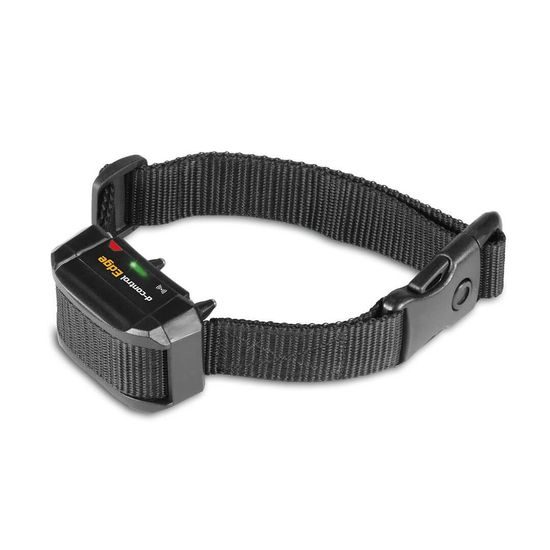 Dogtrace d-control Edge 650