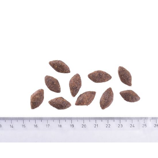 Termin ważności 30.4. 2026: Brit Care Dog Sustainable Activity Chicken & Insect 3 kg