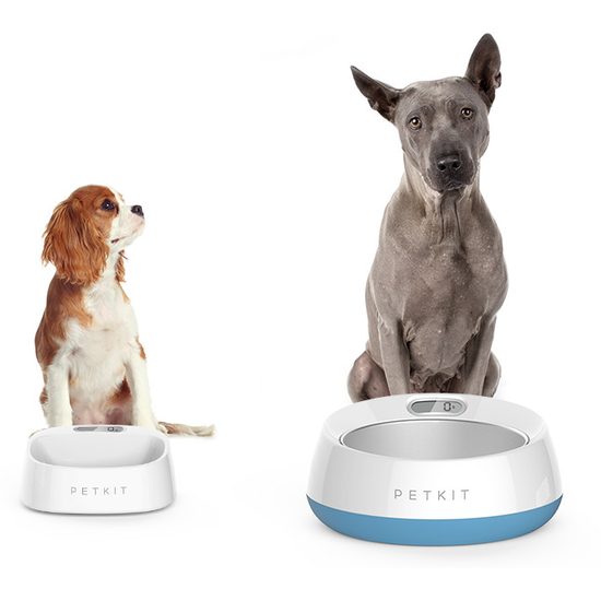 BAZAR - Petkit Fresh Smart cuenco para perros y gatos 0,45 l - BLANCO