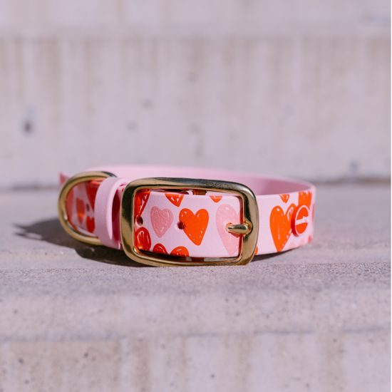 Reedog Gassi-Set Herzen BioThane HALSBAND + LEINE