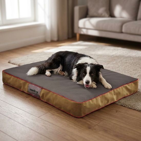 Reedog Matrace Standard Grey