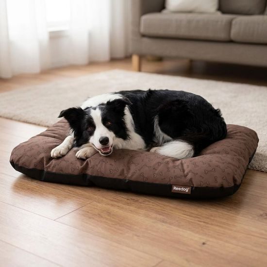 Reedog Matrace Eco dark bones