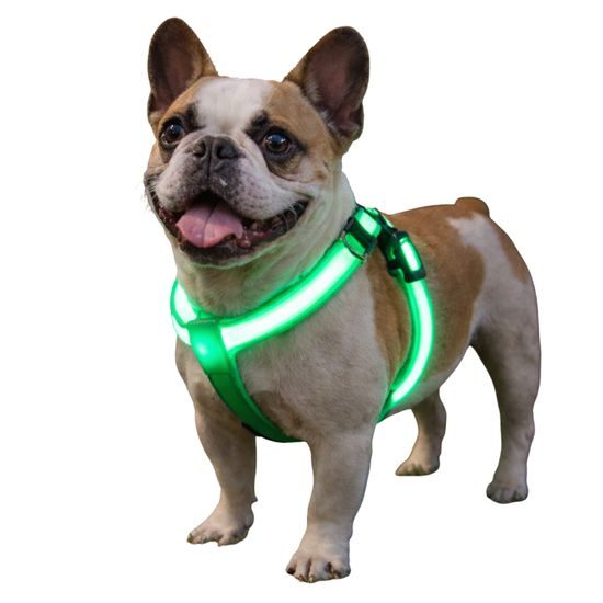 Arnés luminoso Reedog para perros y gatos