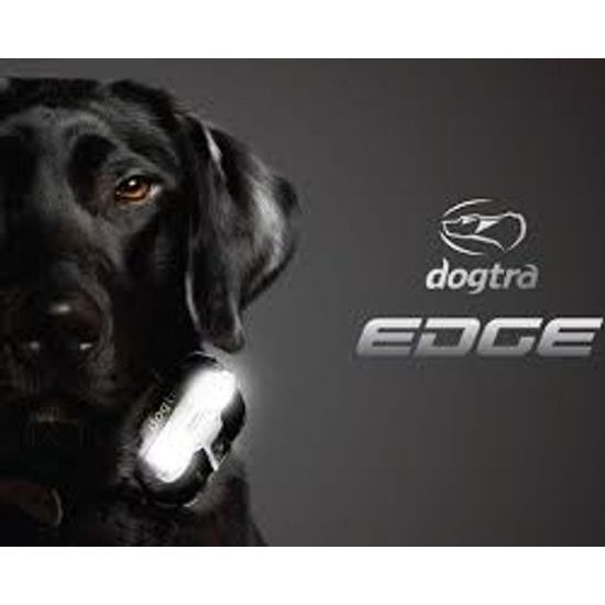 Výcvikový obojek Dogtra 4500 Edge