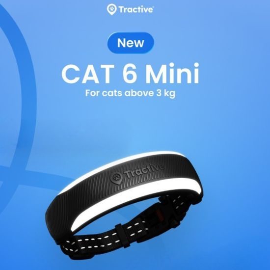 Tractive GPS CAT 6 Mini