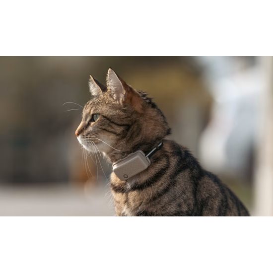 Tractive GPS CAT Mini