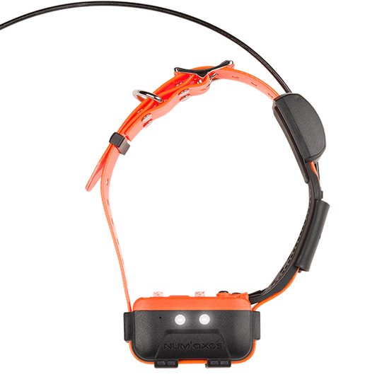 Ersatzhalsband und Empfänger für Canicom GPS2