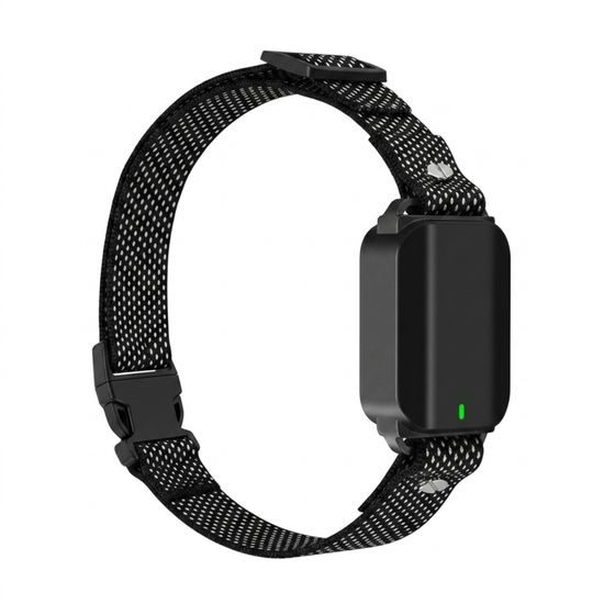 Collar y receptor Patpet KT16 negro