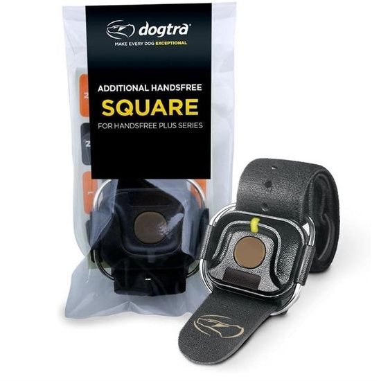Dogtra Handsfree Square