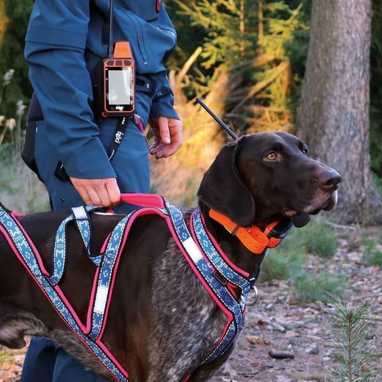 GPS obojek pro psa DOG GPS X40