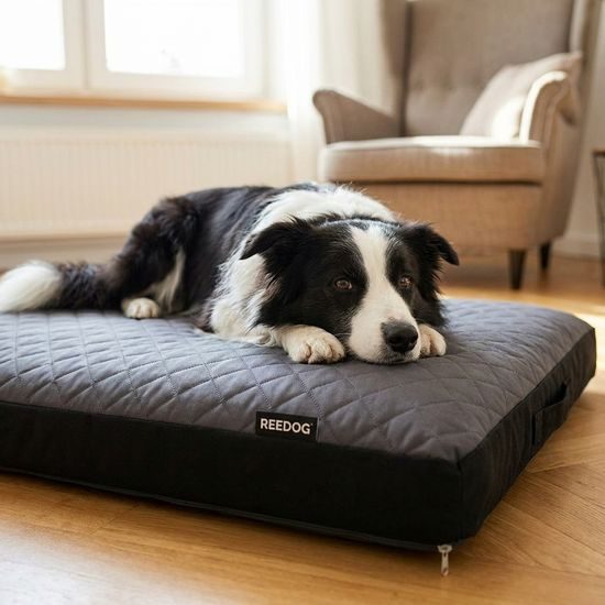 Reedog Matrace Elis Grey Cordura