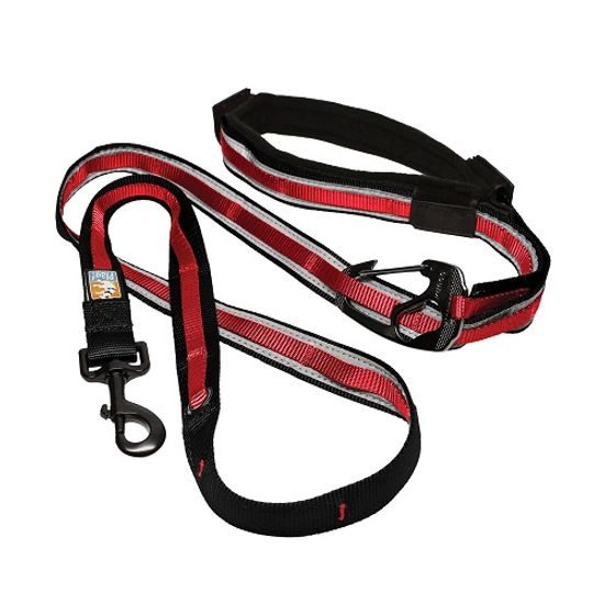 Leash for dogs Kurgo Quantum