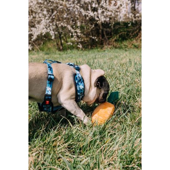 Reedog CAMO harness