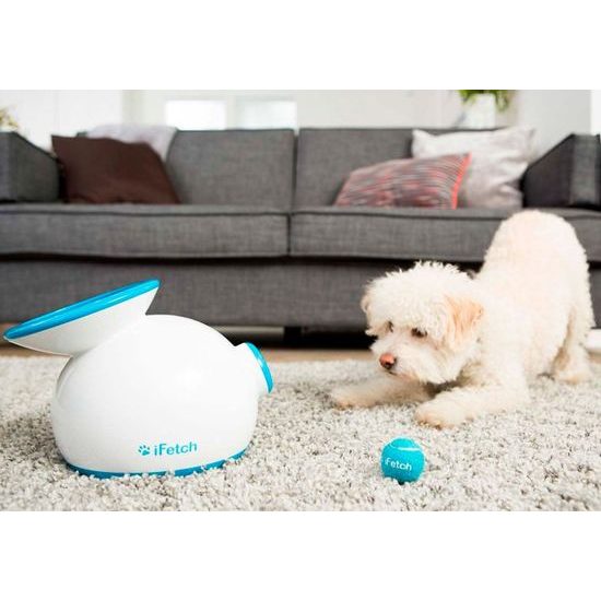 iFetch Original automatic ball launcher