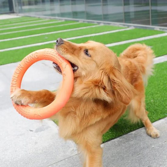 Reedog anillo de entrenamiento para perros naranja