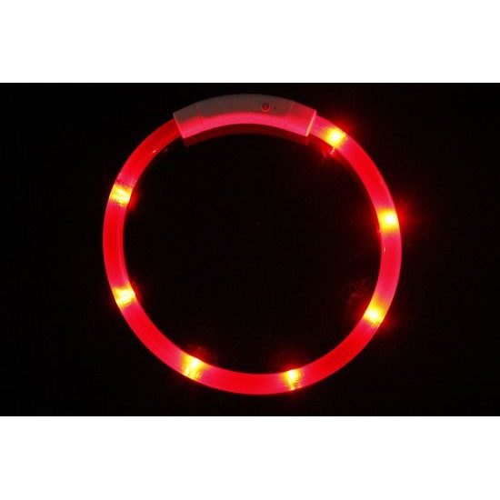 Reedog Easy Light USB rechargeable glowing collar for dogs and cats