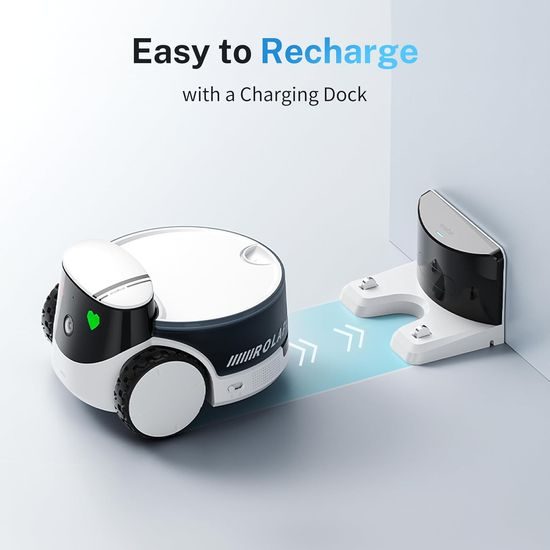 ROLA PetPal smart companion with AI