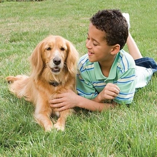 PetSafe ohradník pre malých a stredných psov